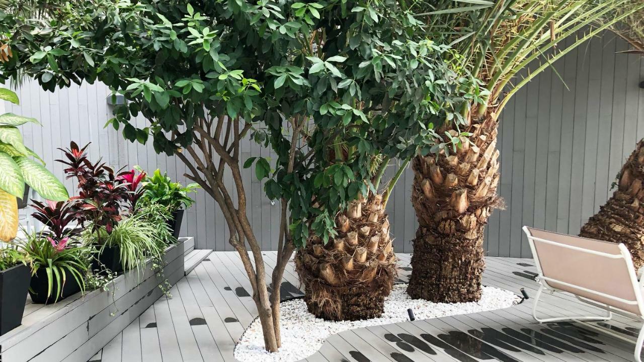 Calypso Boutique Apartments Puerto Rico  Ngoại thất bức ảnh